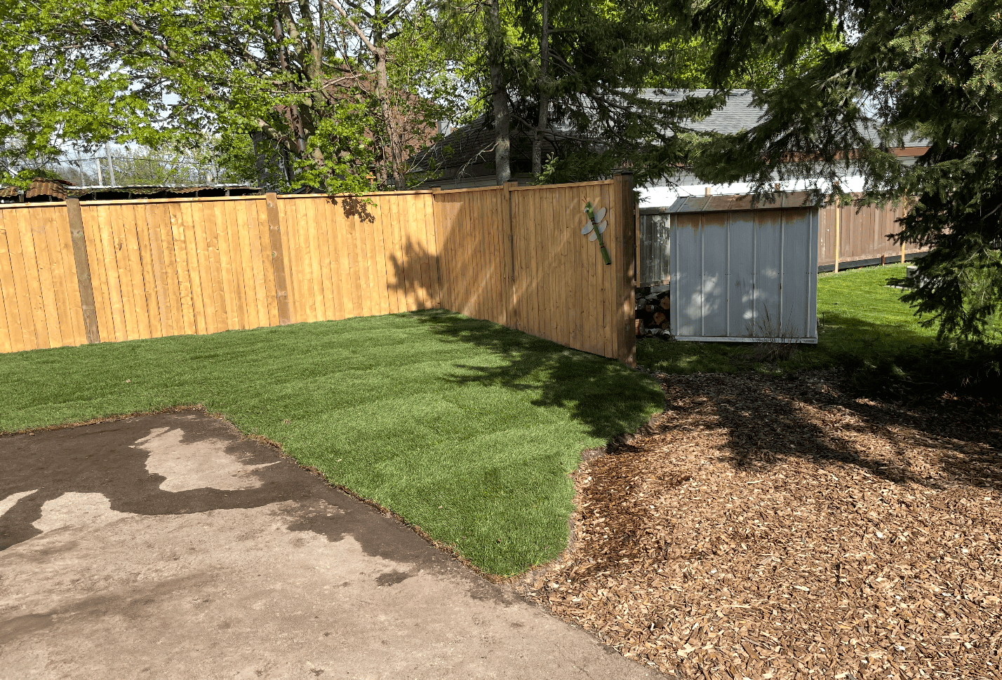 Screenshot 2025-06-15 at 3.20.52 PM